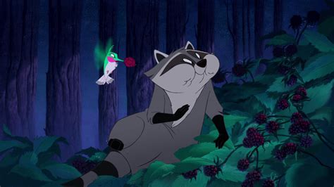 Meeko (Pocahontas)/Gallery | Heroes Wiki | Fandom