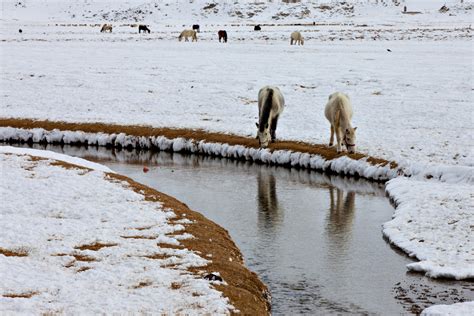 26 images of Ladakh in Winter - incredible snow-filled landscapes and ...