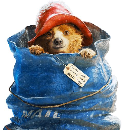 PADDINGTON | In Theatres January 16, 2015 | Paddington bear, Bear ...