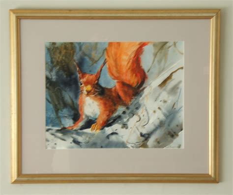 Red Squirrel - Gallery Q