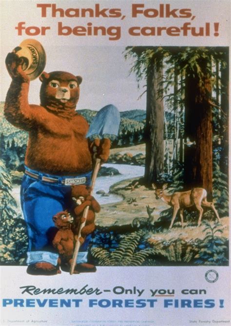 Smokey The Bear Poster