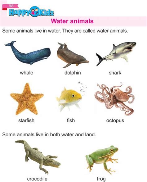 10 water animals name - jennapresley69