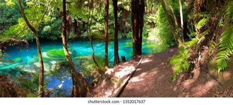 657 Blue Springs Waikato Royalty-Free Images, Stock Photos & Pictures | Shutterstock