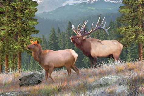 Elk Wall Art - Monarch Bugler - Rocky Mountain Elk Painting by Dale Kunkel