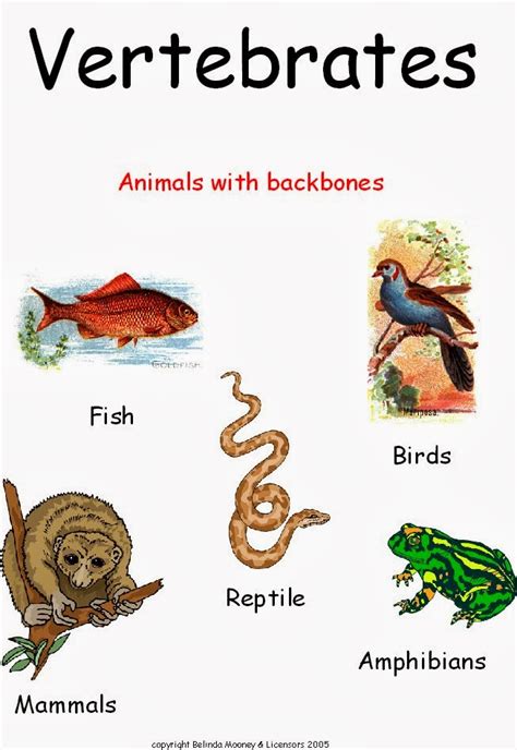 WORLD GENERAL KNOWLEDGE: VERTEBRATES