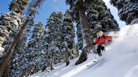 Going skiing in Gulmarg? Here’s what you need to know | Condé Nast Traveller India