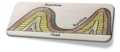 Orogenic Earth Movements - Academistan