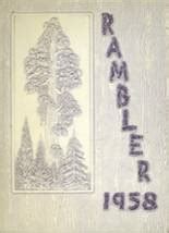 North Thurston High School from Lacey, Washington Yearbooks from the 1990s