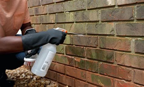 Brick Cleaning Solution (All You Need To Know) | Cleanestor