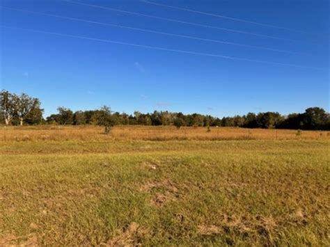 Decatur County Georgia Land for Sale : LANDFLIP