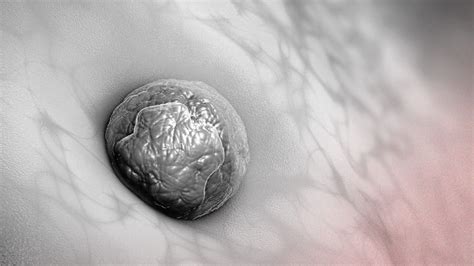 What are the main causes of embryo implantation failure?