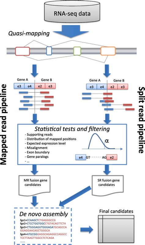 FuSeq pipeline for fusion gene detection: quasi-mapping of read pairs ...