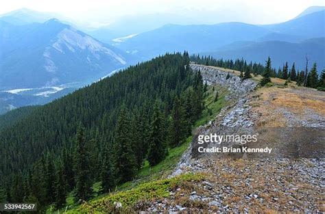 67 High Prairie Alberta Stock Photos, High-Res Pictures, and Images - Getty Images