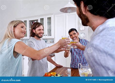 Friends toast stock image. Image of cheerful, indian - 51971685