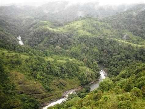 Tamilnadu Tourism: Silent Valley National Park - Trekking