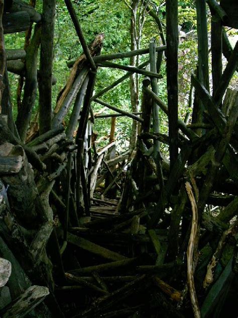 Ladonia - Nimis and Arx | House in nature, Land art, Nature