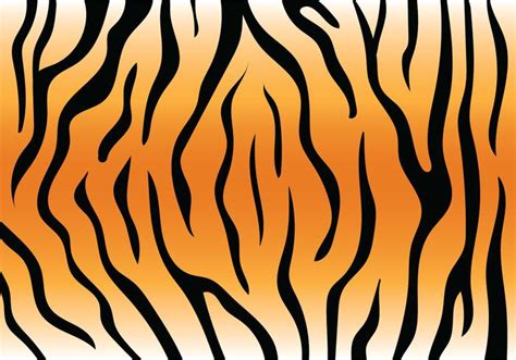 Tiger Pattern Vector at GetDrawings | Free download