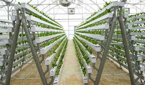 DIY Hydroponic A-Frame Build: Grow 168 Plants in a 6' X 10' Space » HG | Culture hors sol ...