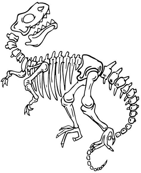 Dinosaur Skeleton, Dinosaur Bones, Dinosaur Theme, Dinosaur Art, Dinosaur Fossils, Dinosaur ...