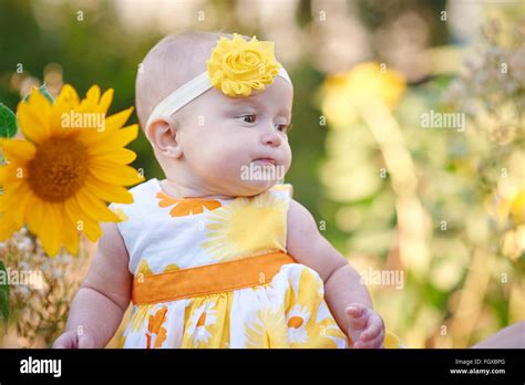 Little girl playing on the grass in the summer park Stock Photo - Alamy