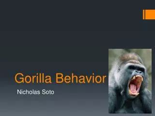 PPT - gorilla-forest PowerPoint Presentation, free download - ID:9933676