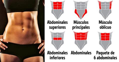 Sufijo enfermo Diplomacia diferentes ejercicios de abdominales entusiasmo tempo tetraedro