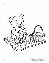 Teddy Bear Picnic Coloring Page Build A Pages Free sketch template