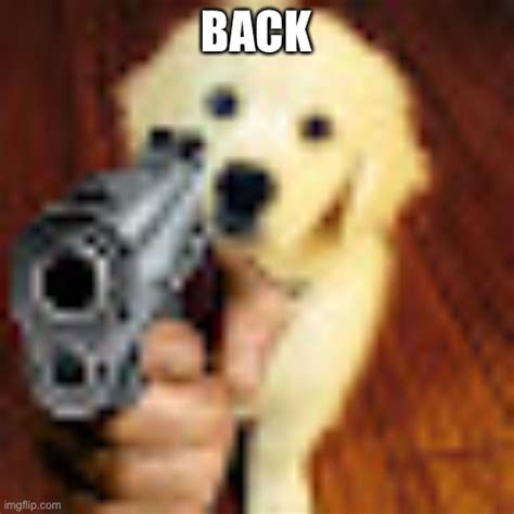 Dog gun - Imgflip