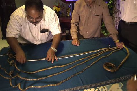 Shridhar Chillal the man with the longest finger nails in the world ...