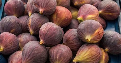 Can You Freeze Figs? A Guide to Preserving This Sweet Fruit - Kitchenous