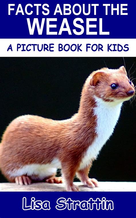 Facts About the Weasel (A Picture Book For Kids 235) by Lisa Strattin | Goodreads