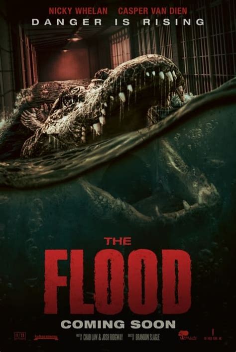 The Flood (2023) — The Movie Database (TMDB)