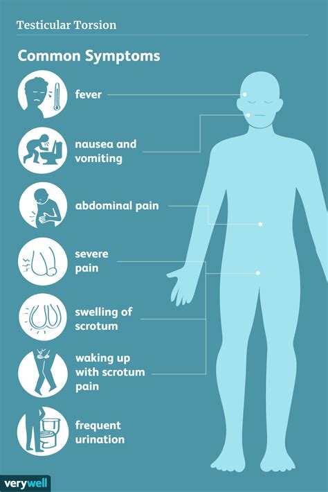 Testicular Torsion: Symptoms, Causes, Diagnosis, and Treatment