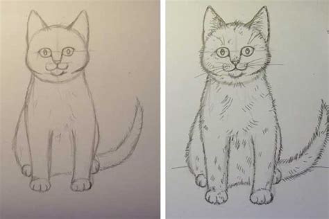 How to Draw a Cat Front View Step By Step - Drawn light in 2023 | Drawings, Animal drawings, Cat ...