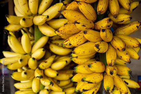 Stalks of Señorita bananas on display together with other products at a roadside shack in ...