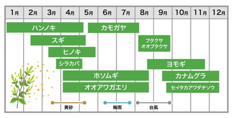 「花粉症にはどんな種類があるの? 」知っておきたい花粉症の種類&飛散時期について | 東京ガス ウチコト