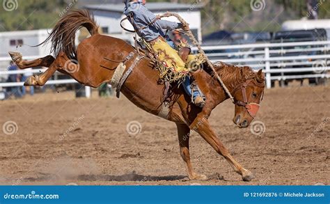 Bucking Bronco Horse at Country Rodeo Stock Photo - Image of bucked, buck: 121692876