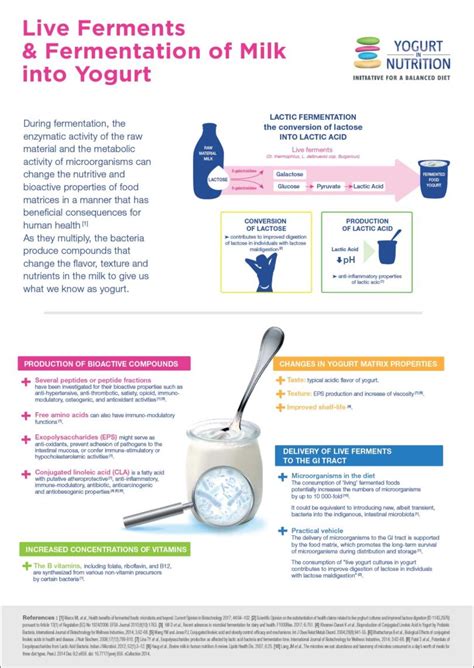 Live ferments & fermentation of milk into yogurt - Yogurt in Nutrition