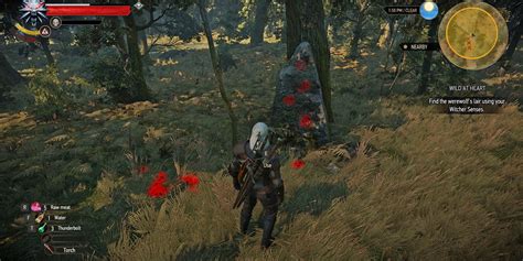 The Witcher 3: How To Complete The Wild At Heart Quest