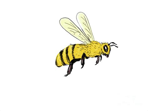 Bee Flying To Side Color Drawing Digital Art by Aloysius Patrimonio - Pixels