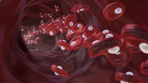 Having Lower Hemoglobin May Have Health Benefits