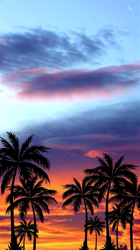 Beach Sunset Iphone Wallpaper