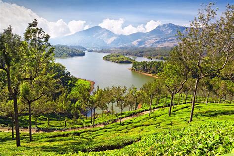 Munnar | India Travel Guide | Rough Guides