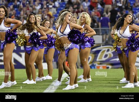 Baltimore ravens cheerleaders hi-res stock photography and images - Alamy