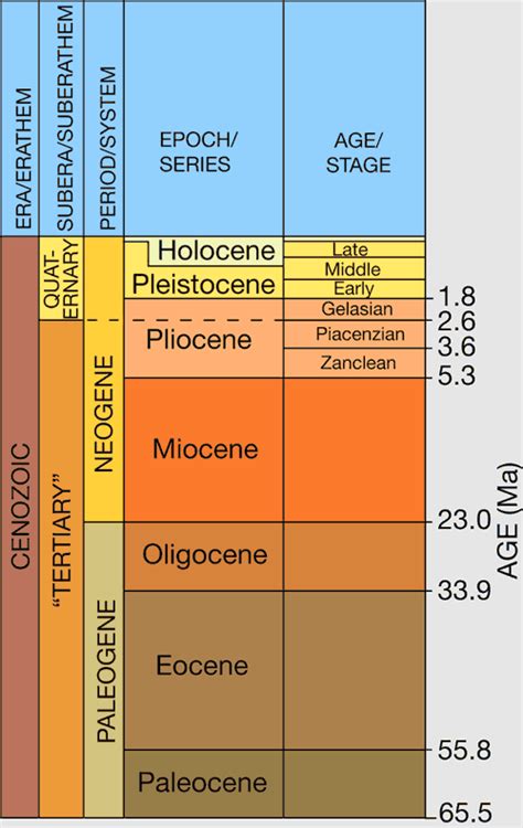 raggiungere scheletro Sicilia stratigraphic time scale fonte puzzle perché