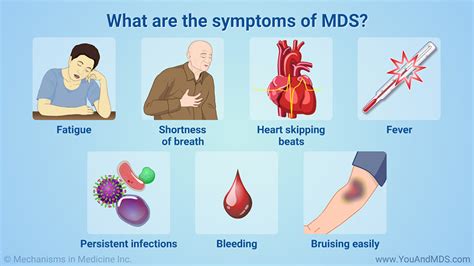 Slide Show - Understanding Myelodysplastic Syndromes