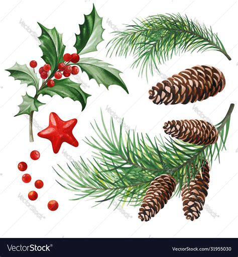 Christmas symbols - holly leaves Royalty Free Vector Image