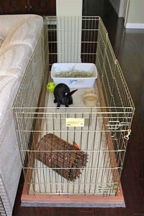 This is the set up I am going for if/when I get my holland lop bunny ...