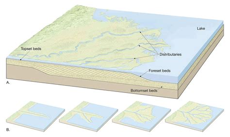 River Delta Diagram For Kids