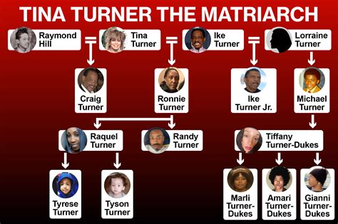 D Paulette Harris: Why Tina Turner Never Met Her Grandchildren